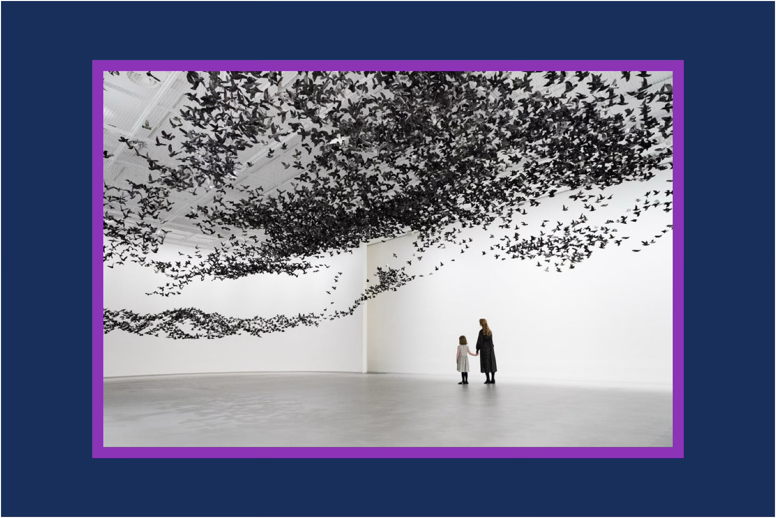 You don’t have too little data, you don’t have too little information, you have too little insight.