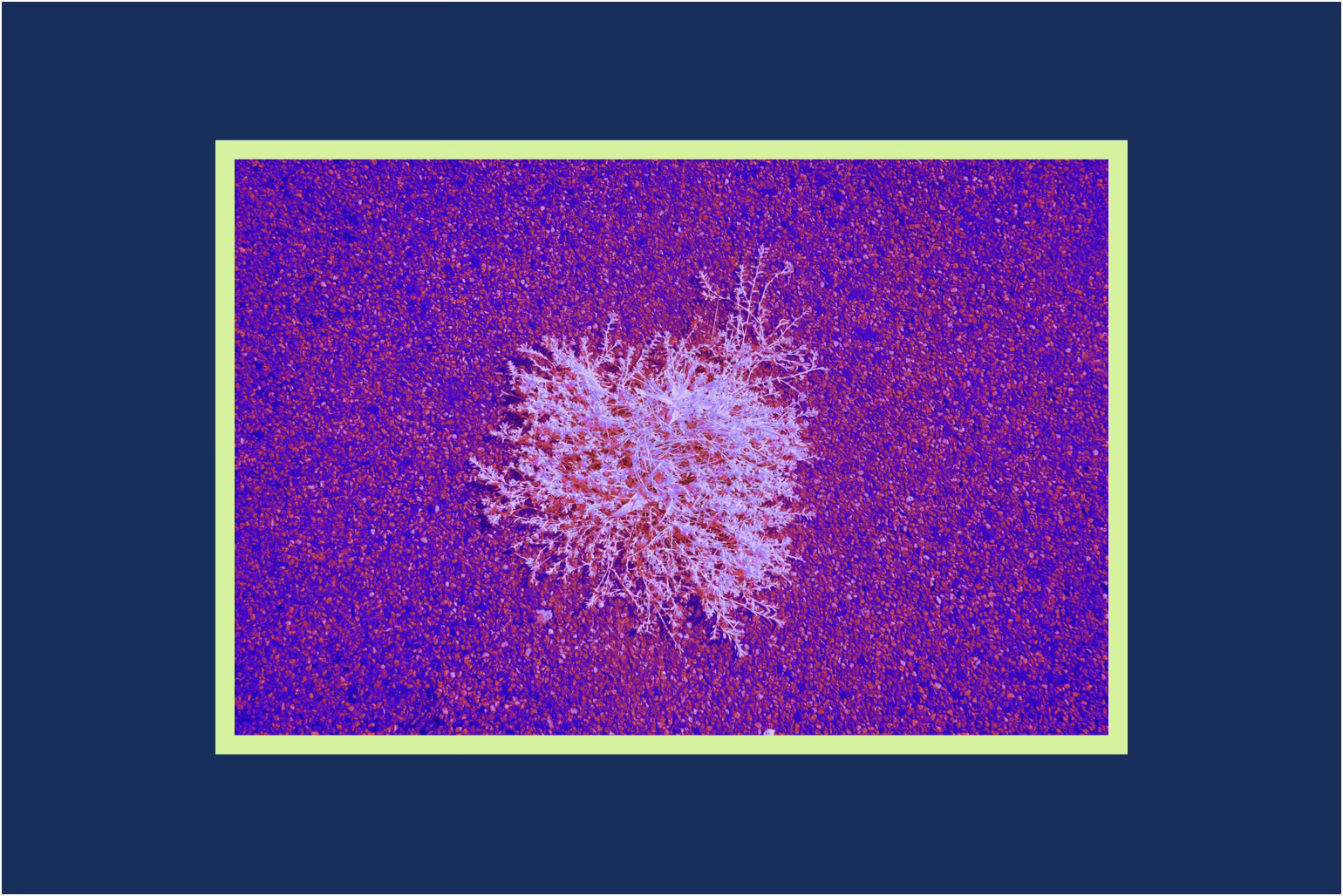 How robotics, AI and evolution are intertwined.