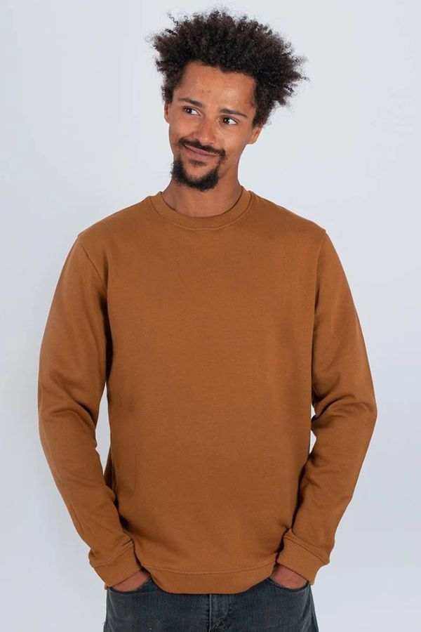 image of Plain Organic Cotton Sweater in Brown