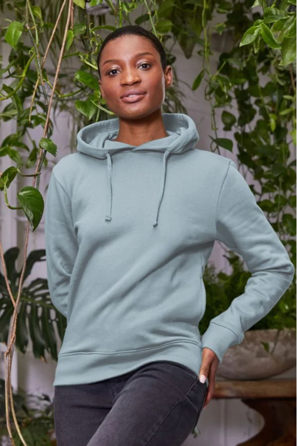 image of Plain Organic Cotton Hoodie in Stone Blue