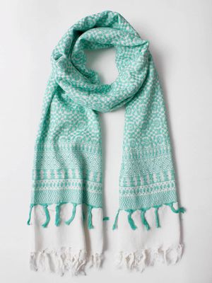 Embroidered Scarf in Mint