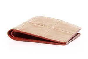 Fire and Hide Wallet in Savannah