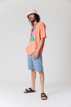 Lyric Organic Cotton Denim Shorts in Retrograde