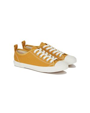 Eco Sneako in Mustard for Men