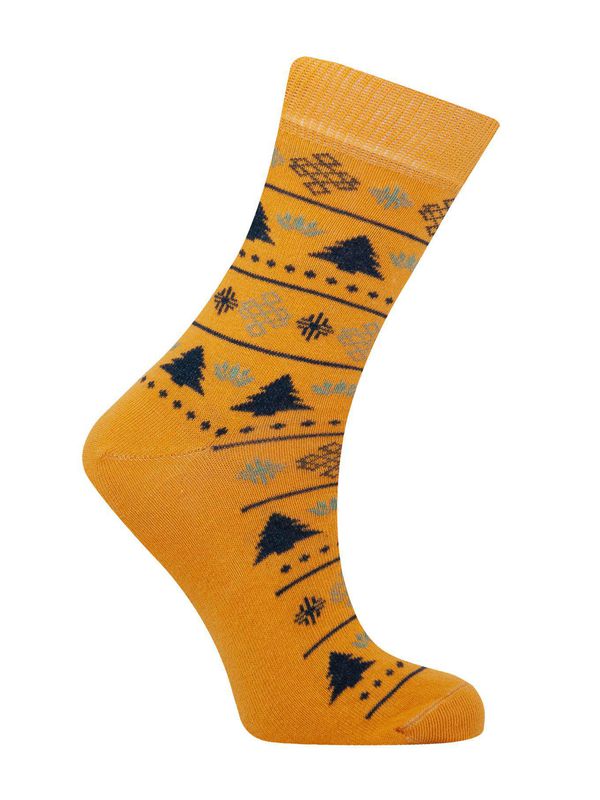 image of Christmas Organic Cotton Socks in Gold