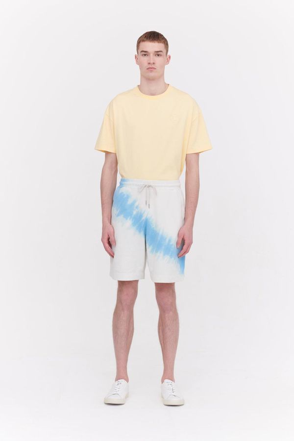 image of Diagonal Tie Dye Organic Cotton Loopback Sweatshorts in Tie Dye Aqua