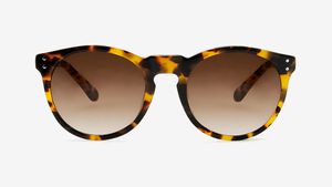 Asha in Sunflower Tortoiseshell