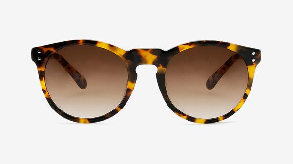 image of Asha in Sunflower Tortoiseshell