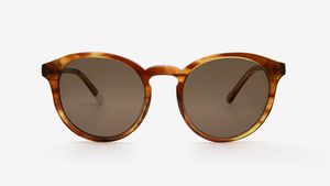 Darya in Honey Tortoiseshell