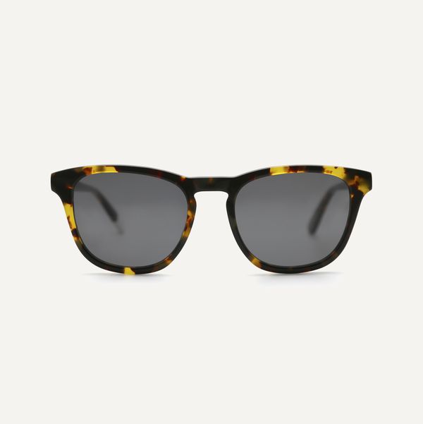 image of Nyota in Maple