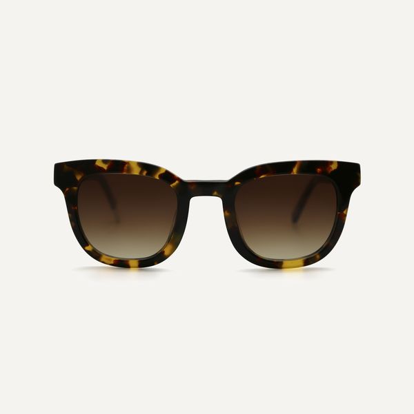 image of Pendo in Maple