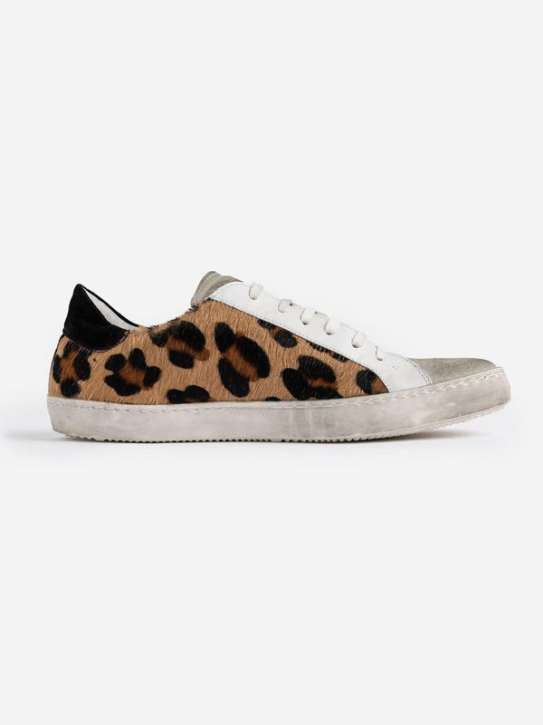 image of Spitalfields Trainer in Leopard Print