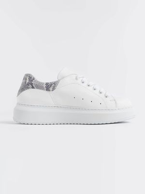 Hampstead Trainer in Snake