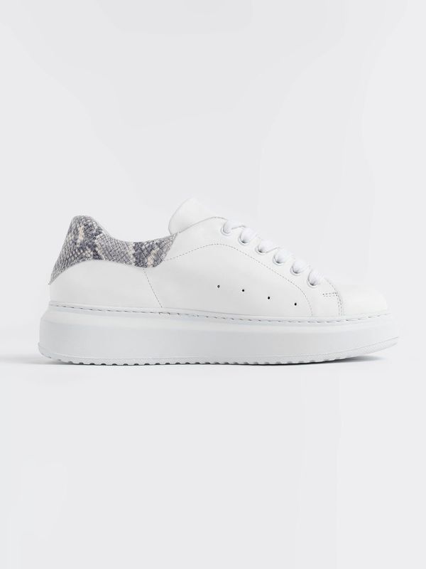 image of Hampstead Trainer in Snake