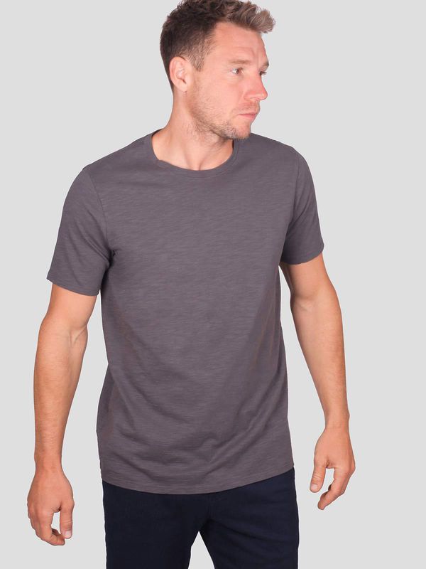 image of Organic Cotton T-Shirt in Walnut Grey
