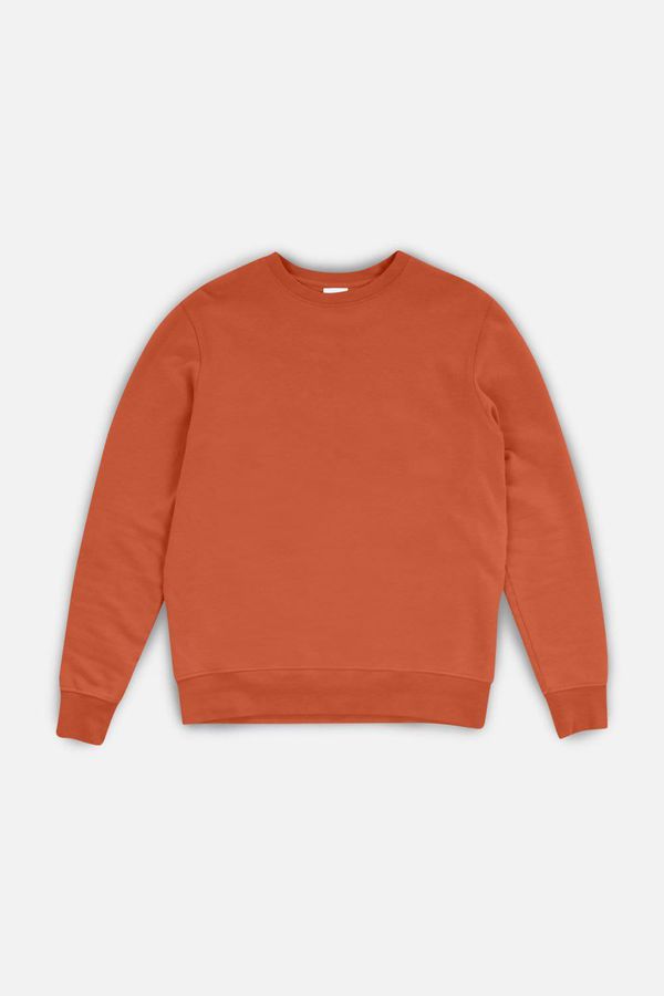 image of Cassius Sweatshirt in Rust