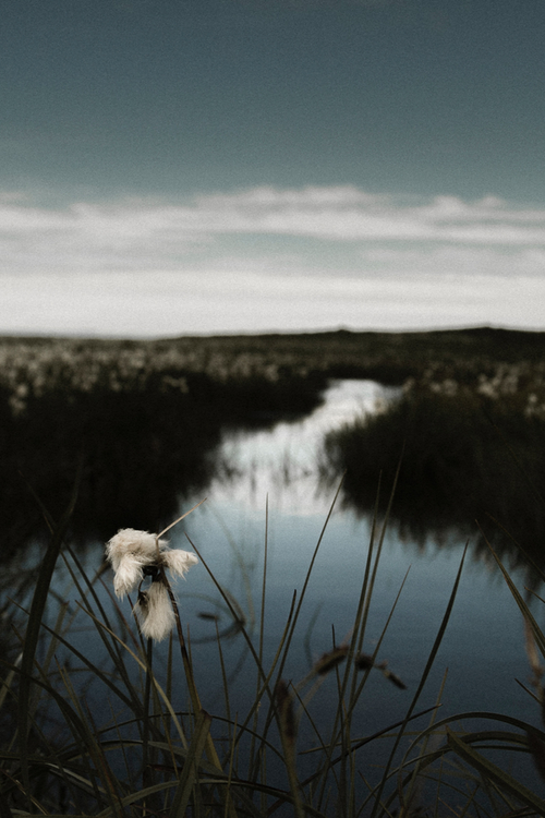 field-river.png