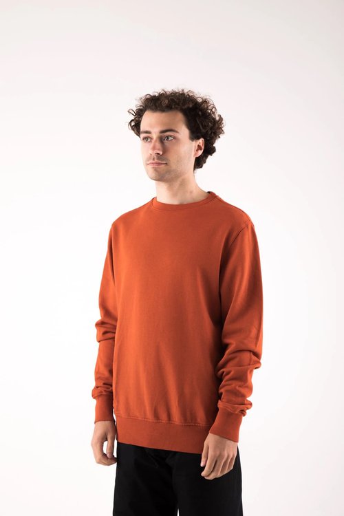 organic cotton sweatshirt in rust for men
