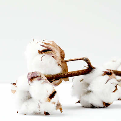 truth-about-cotton-teaser.png