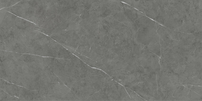 Dlažba Tessino Grey Pulido 60 x 120 cm