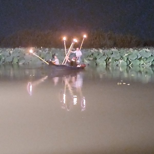 processione 14 agosto