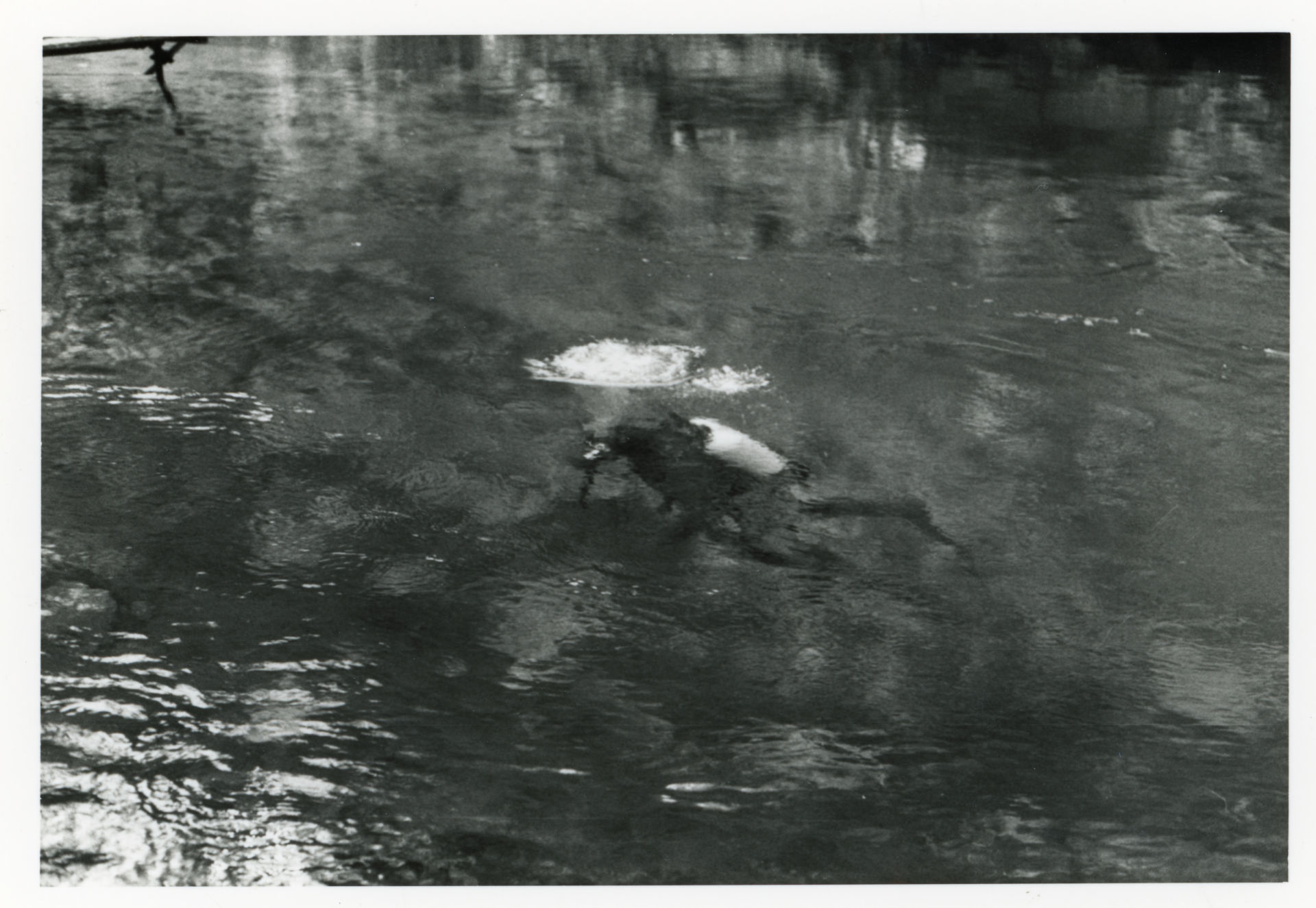 IN APNEA