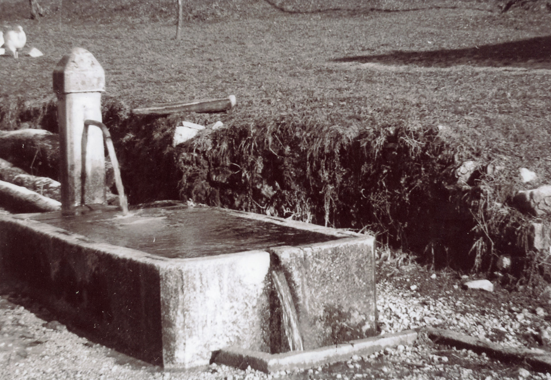 FONTANA IN FRAZIONE ALCHEDA