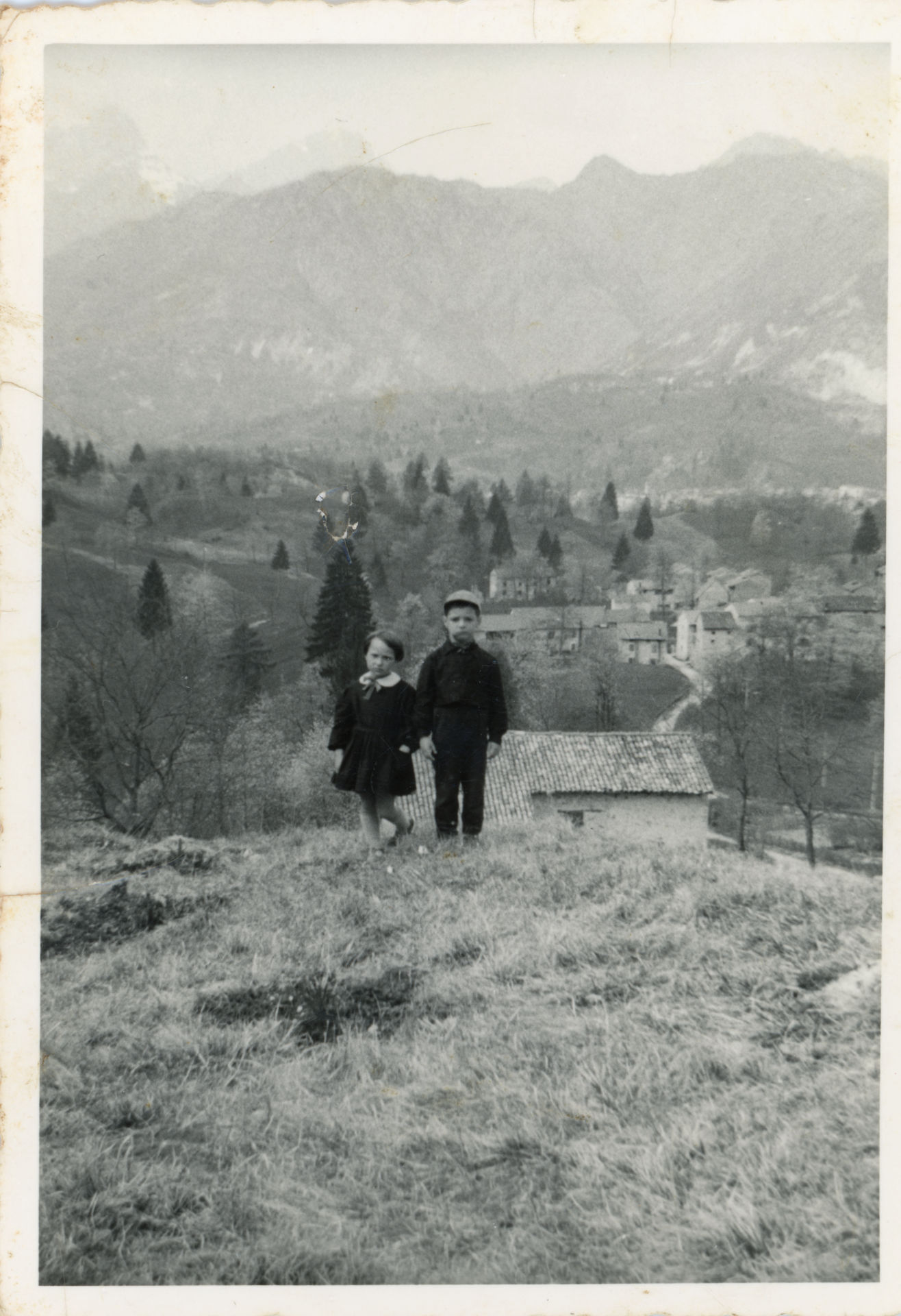 Festa degli alberi a Bosplans