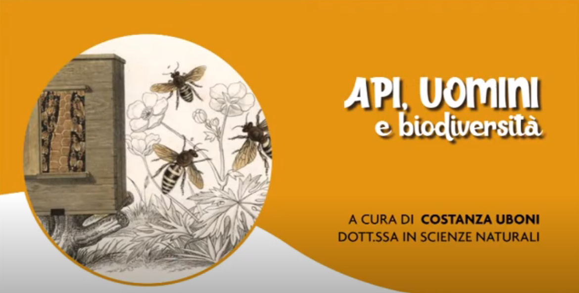 API, UOMINI E BIODIVERSITA