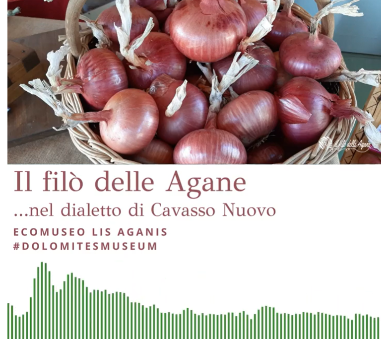 DIALETTO DI CAVASSO NUOVO