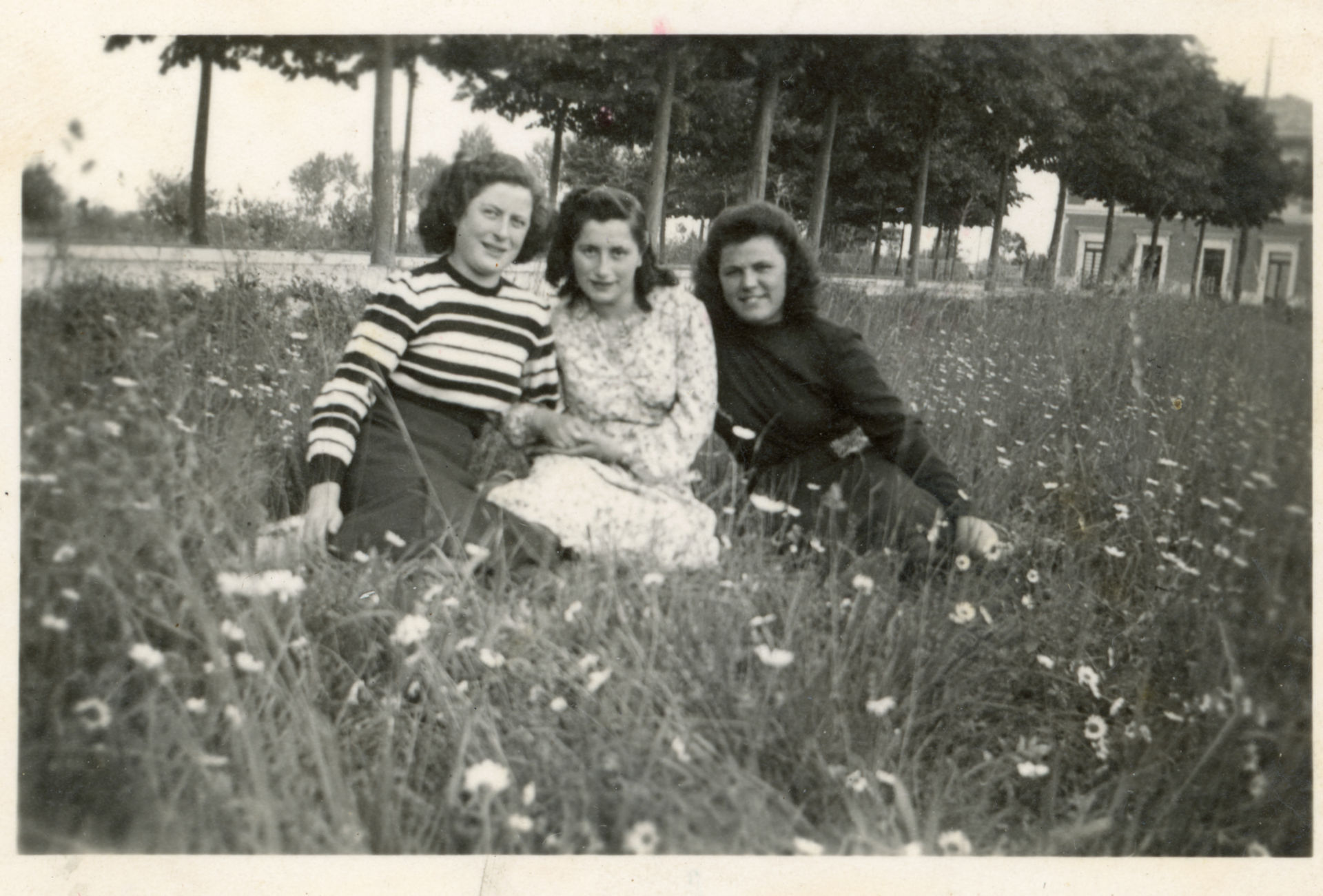 Tre ragazze sul prato
