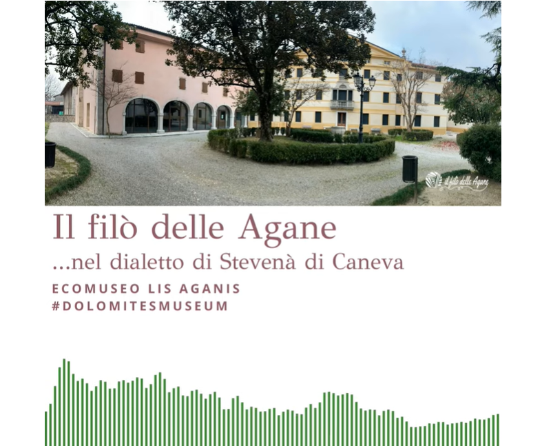 DIALETTO DI CANEVA