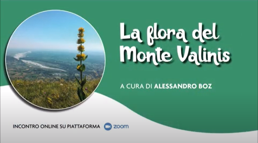 FLORA DEL MONTE VALINIS