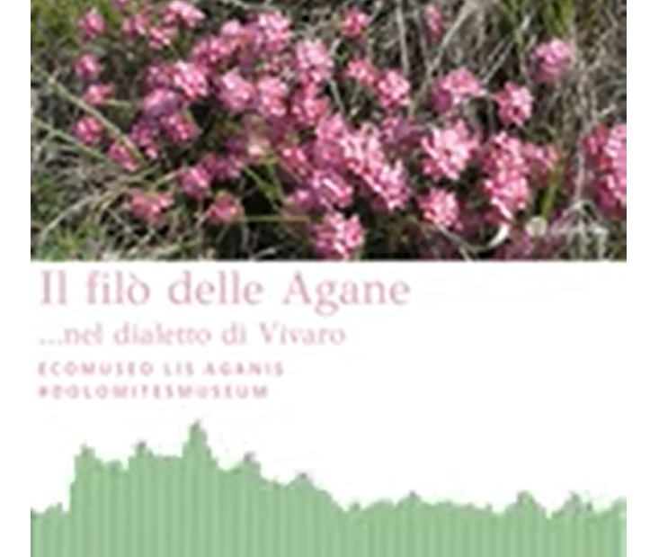 DIALETTO DI VIVARO