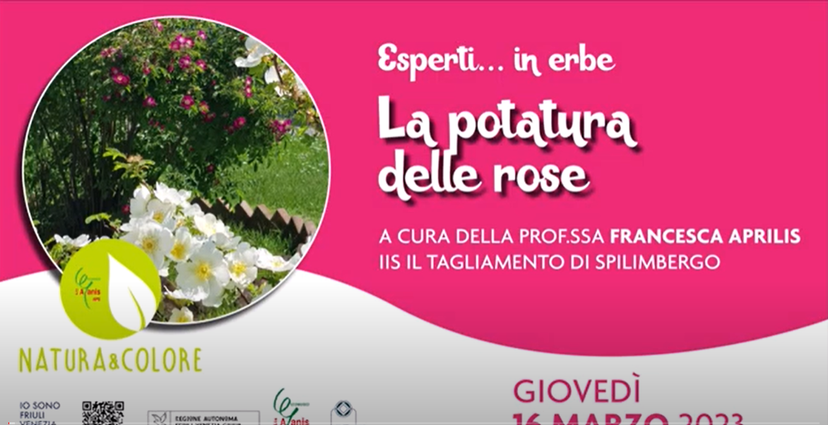 POTATURA DELLE ROSE