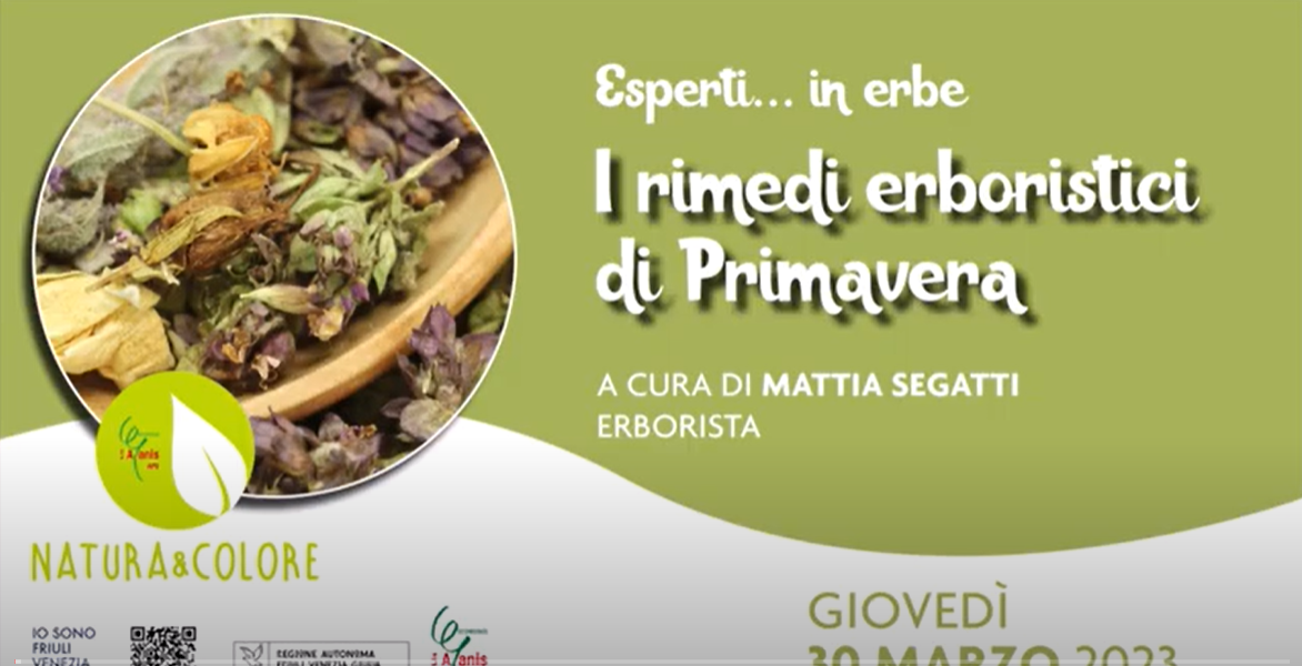 RIMEDI ERBORISTICI DI PRIMAVERA