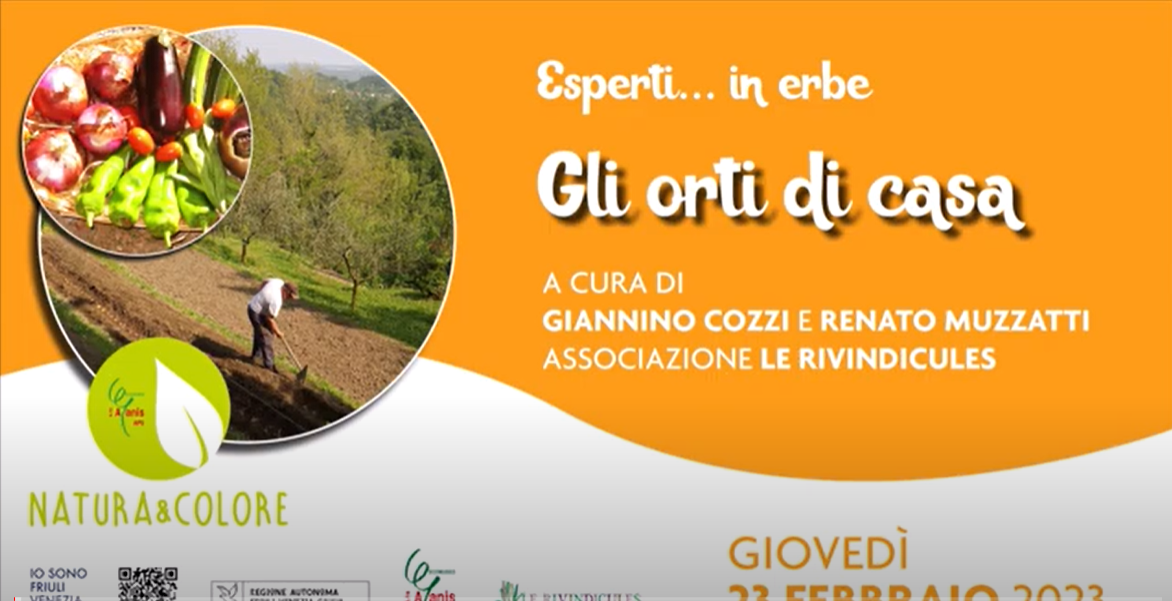 ORTI DI CASA