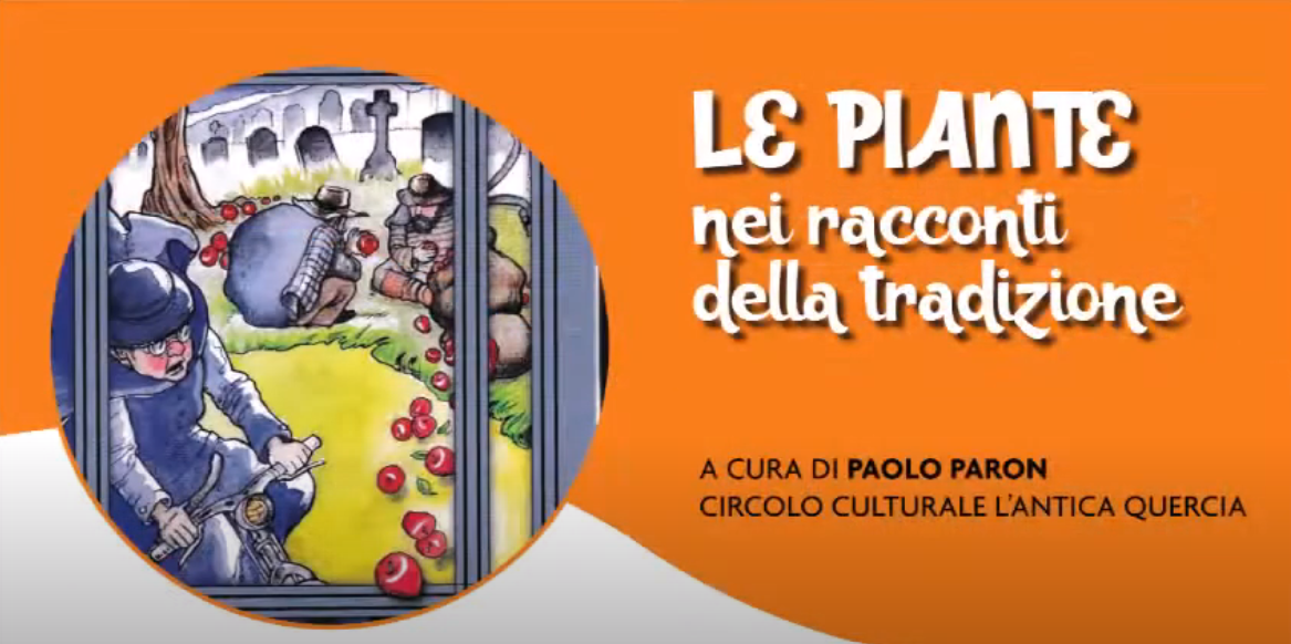 PIANTE NELLA TRADIZIONE