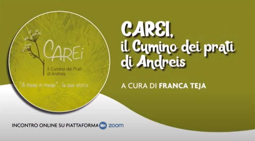CAREI - PRATI DI ANDREIS