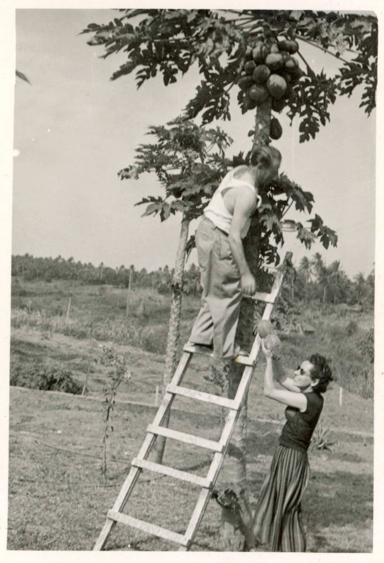 CALLIGARO IN KENYA