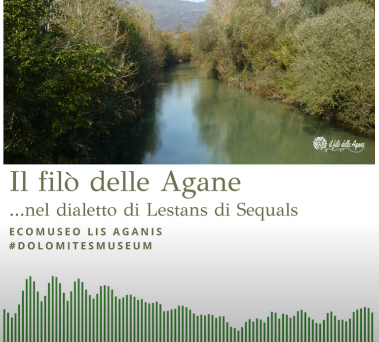 DIALETTO DI SEQUALS