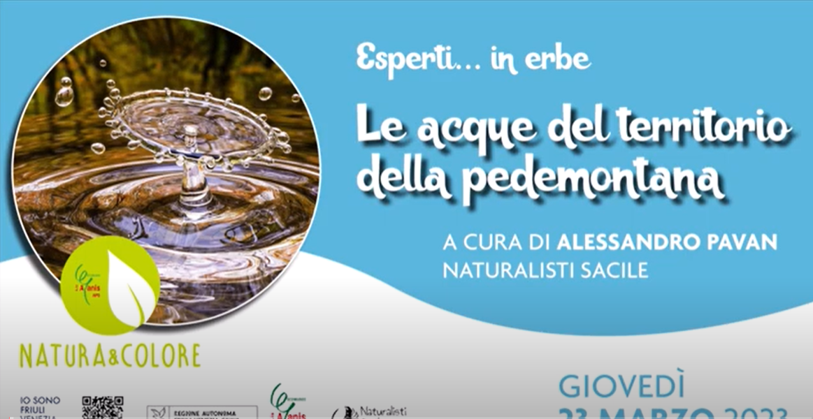 ACQUE DELLA PEDEMONTANA