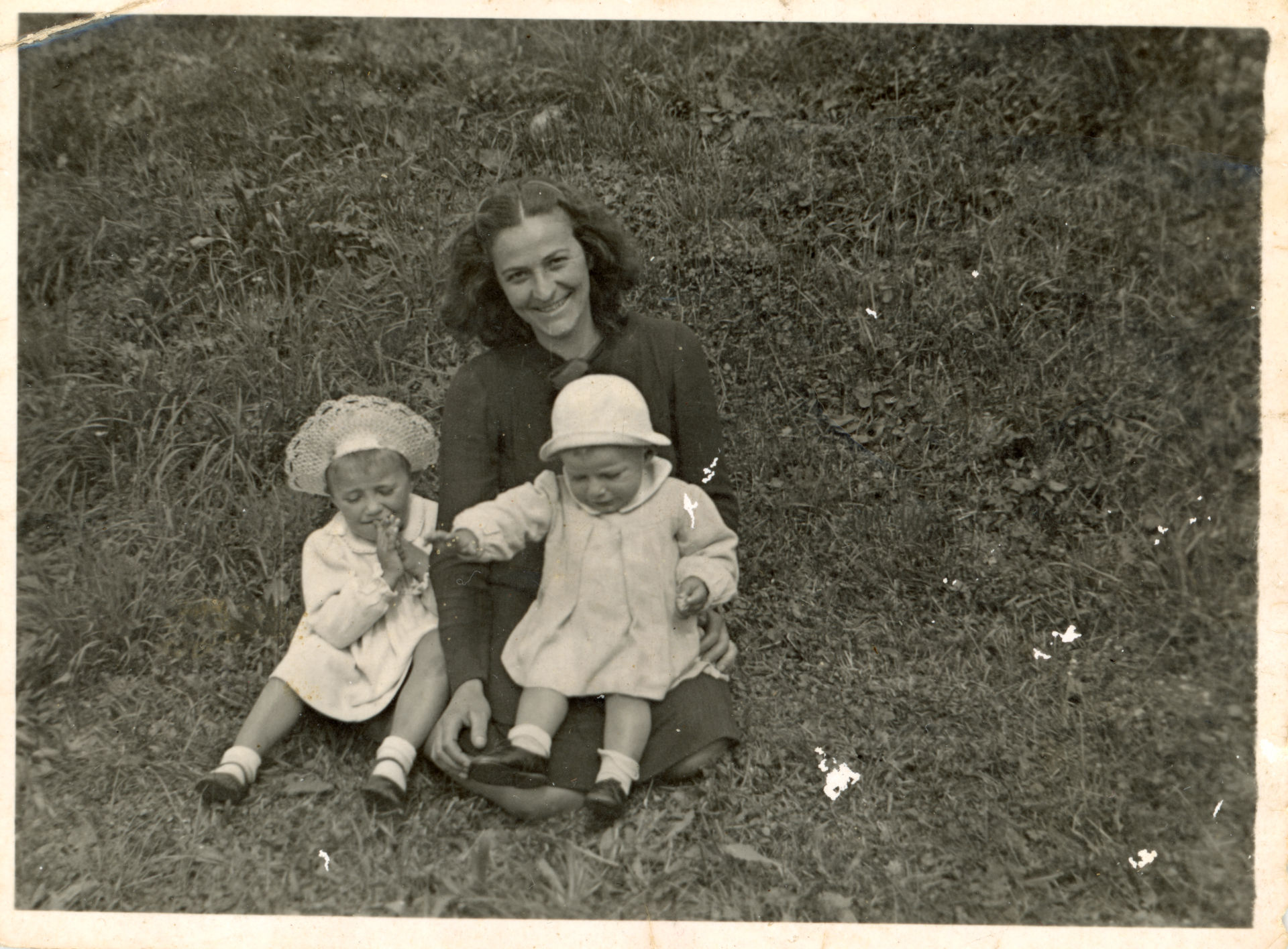 Sosta in un prato andreano