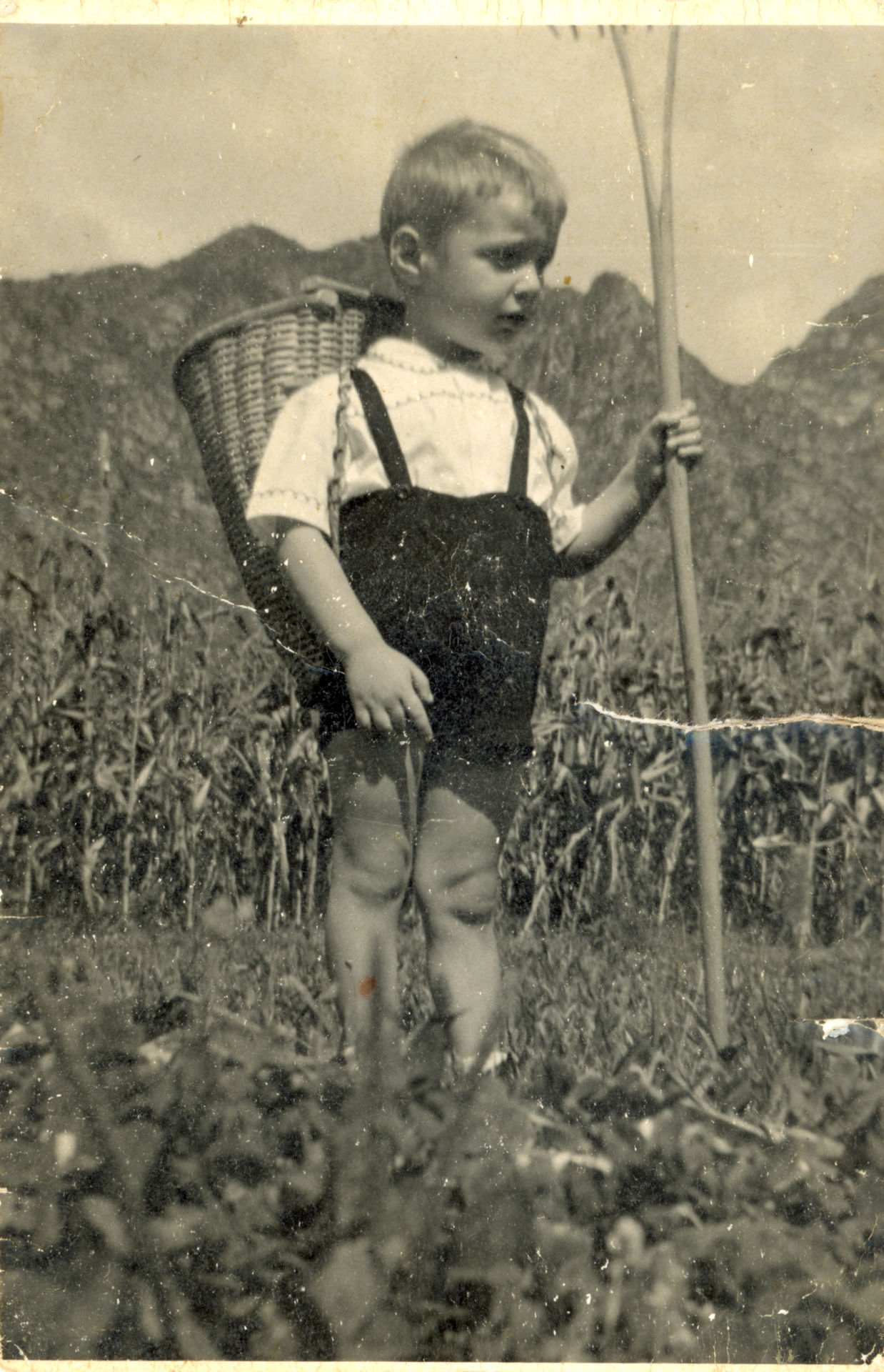 Bambino andreano con "cos" e rastrello