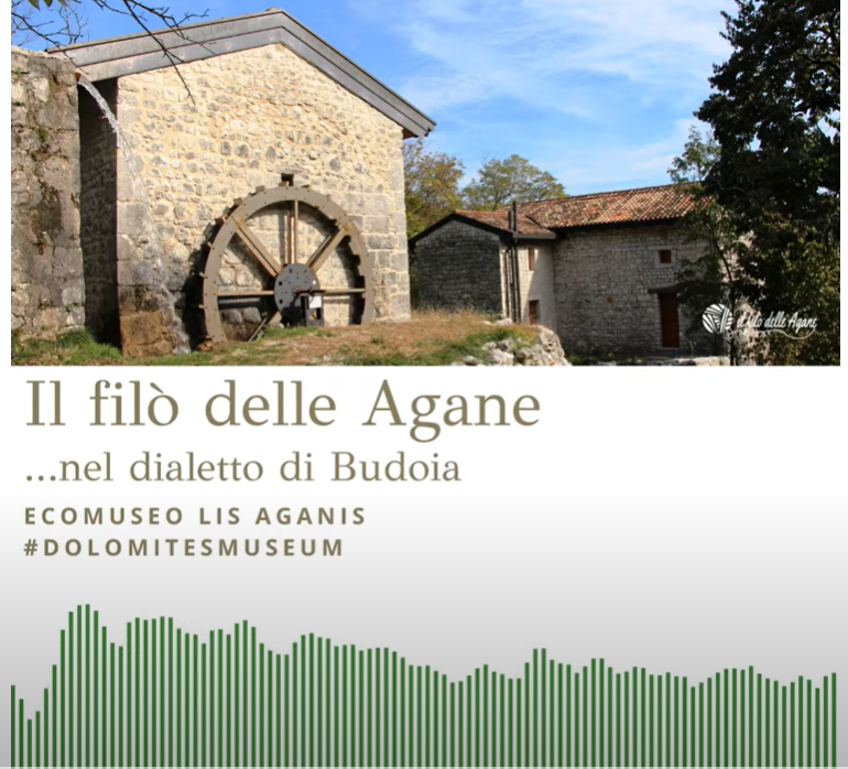 DIALETTO DI BUDOIA
