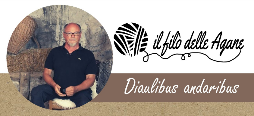 "DIAULIBUS ANDARIBUS" ESTRATTO