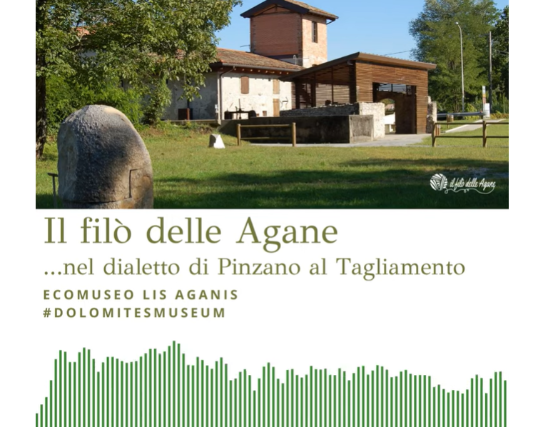 DIALETTO DI PINZANO