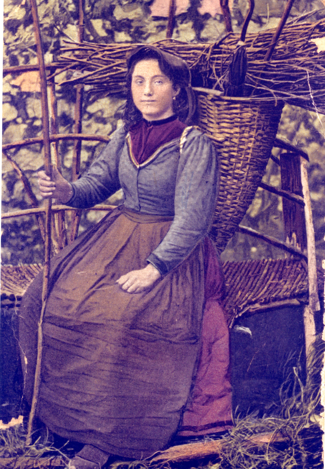 DONNA ANDREANA