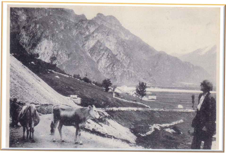 "IL FRIULI PITTORESCO"