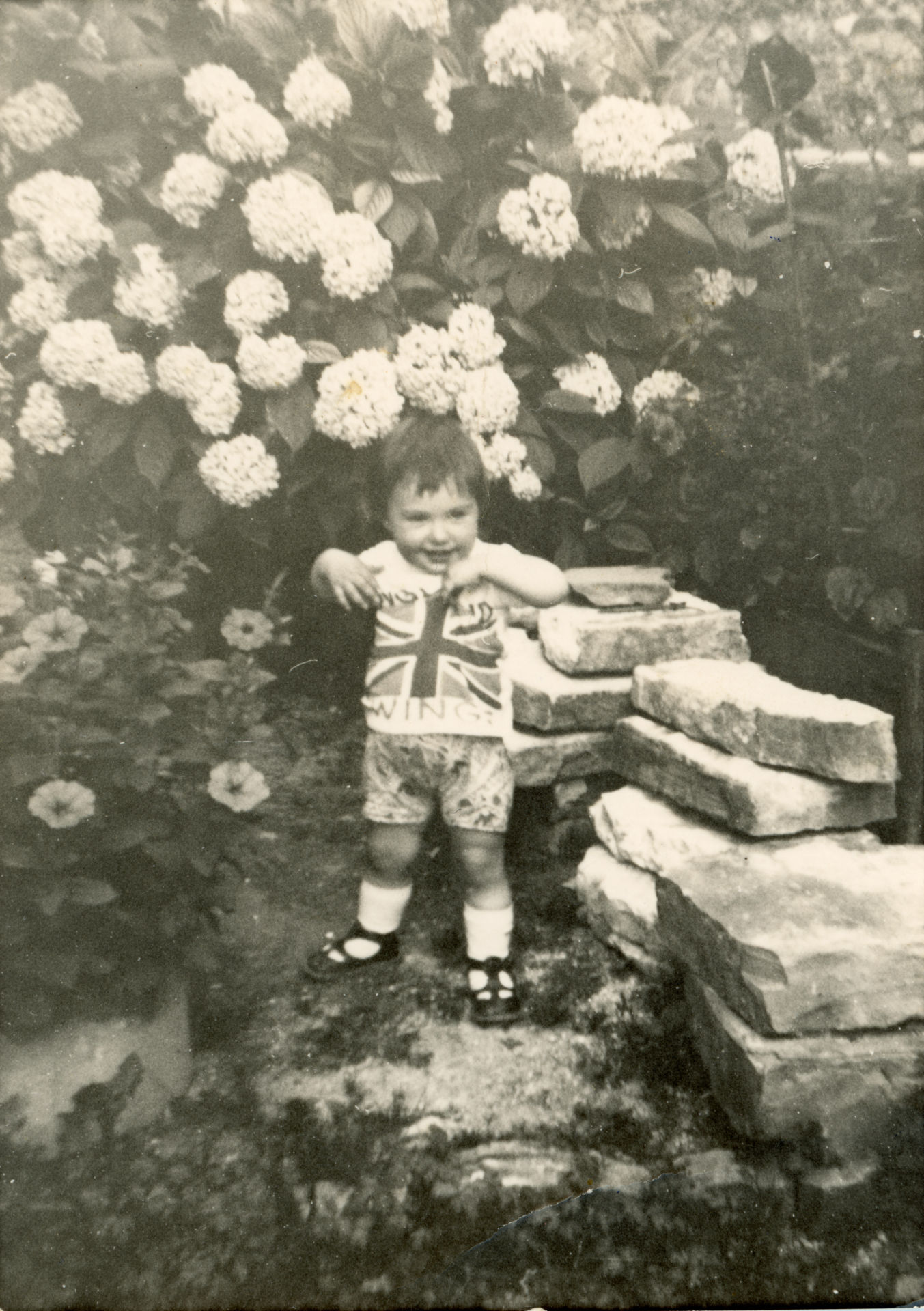 Bambina sotto le ortensie